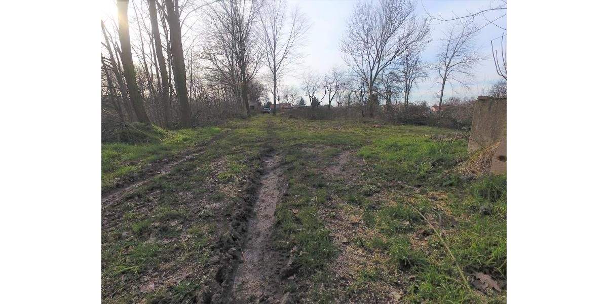 Grundstück Machern - 185.000&euro; | Angebot:25738685