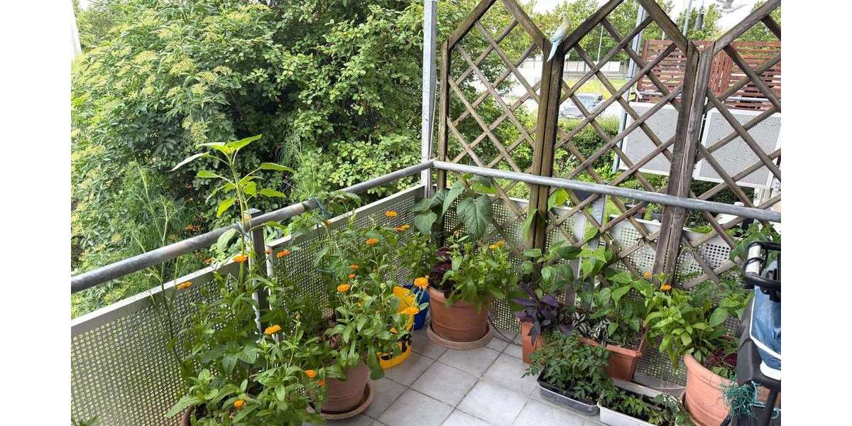 Etagenwohnung Zwenkau - 2 Zimmer, 41 m&sup2;, 120.000&euro; | Angebot:26932694