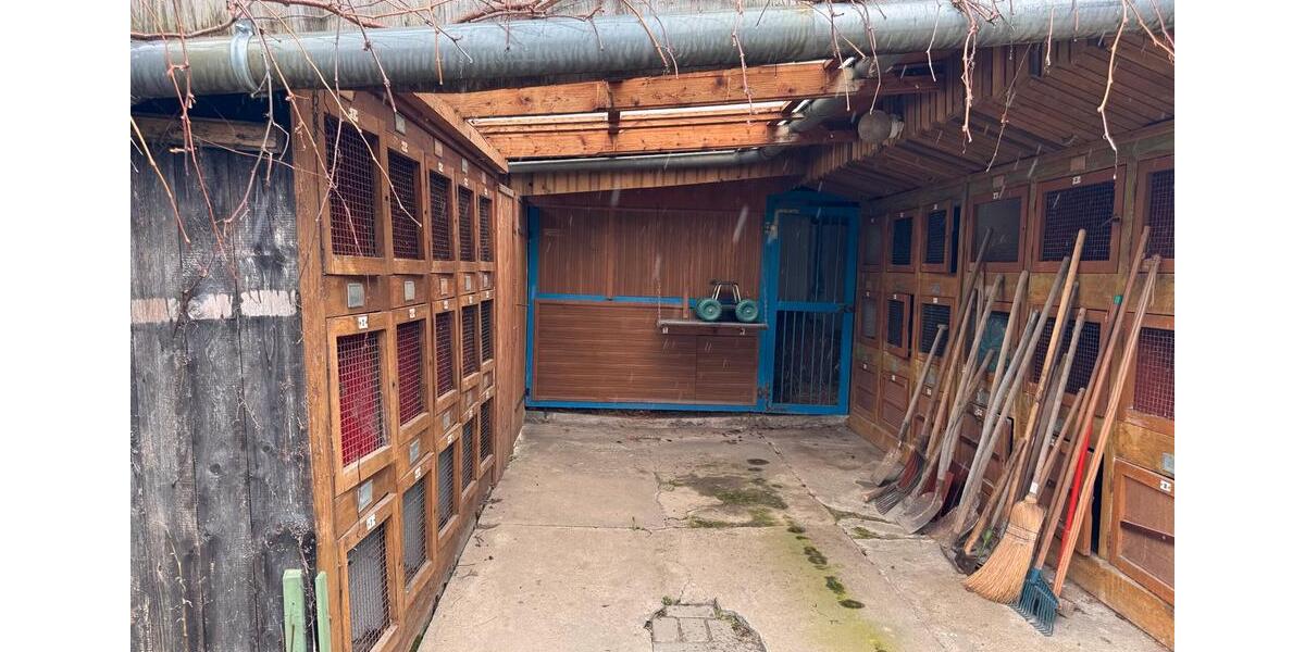 Einfamilienhaus Eilenburg - 4 Zimmer, 97 m&sup2;, 200.000&euro; | Angebot:26067411