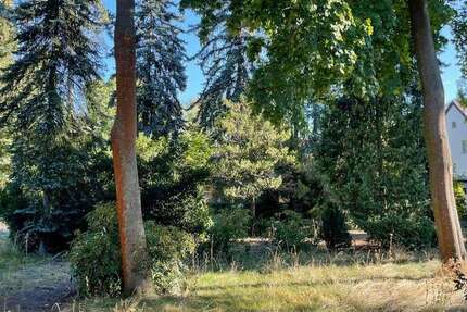 Grundstück zu verkaufen in Brandis 269.000 € 902 m² zimmer