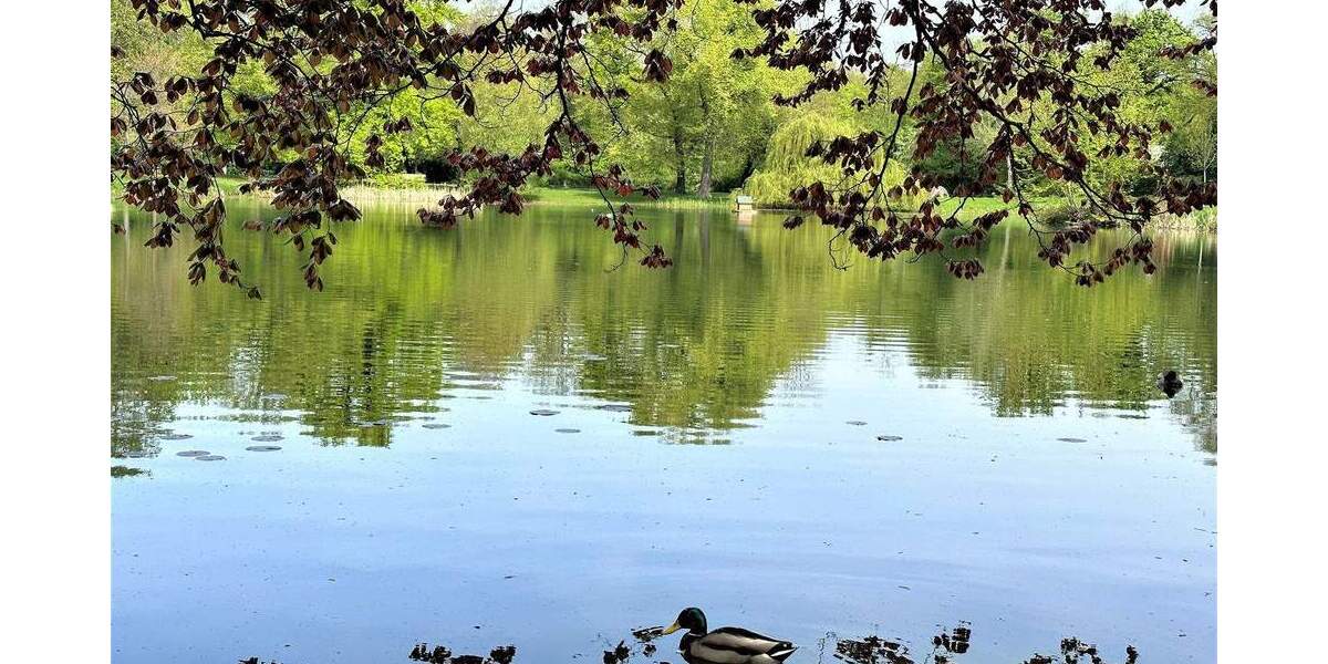 Etagenwohnung Leipzig Gohlis-Süd - 5 Zimmer, 146 m&sup2;, 699.000&euro; | Angebot:25673776