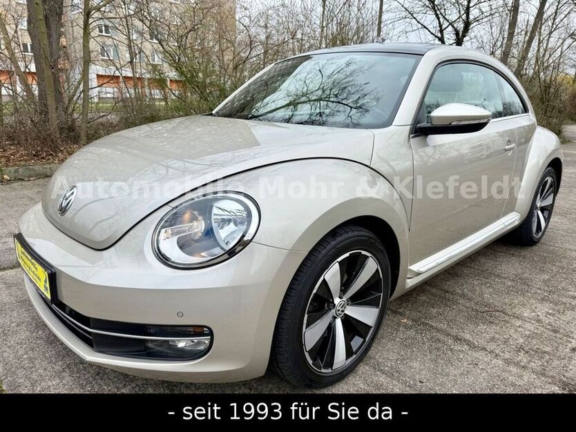 Beetle