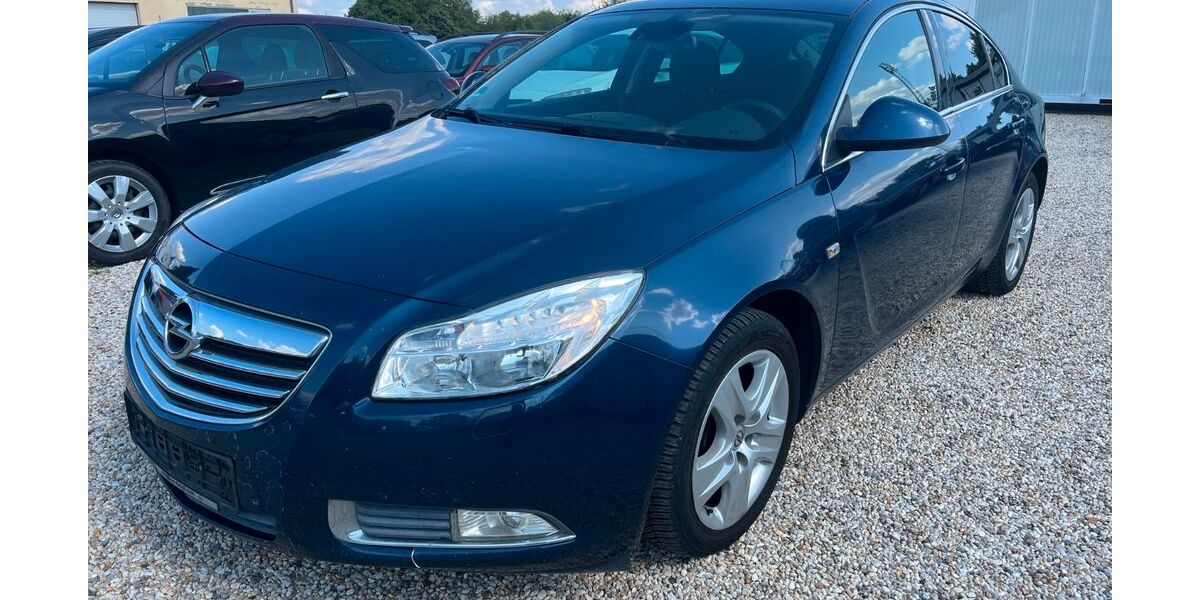 Opel Insignia 256.053 km 1.999 &euro; Delitzsch 04509