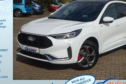 Ford Kuga 8.275 km 34.840 &euro; Eilenburg 04838