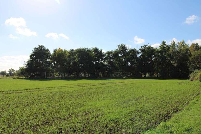 Bezugsfrei ab 01.10.2025 - Maisonettewohnung mit großem Balkon in Stadtnähe 3 zimmer