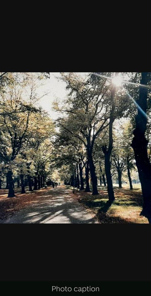 4 Zimmer Wohnung zum Verkauf in Grünau- Ost Leipzig Provisionfrei zimmer