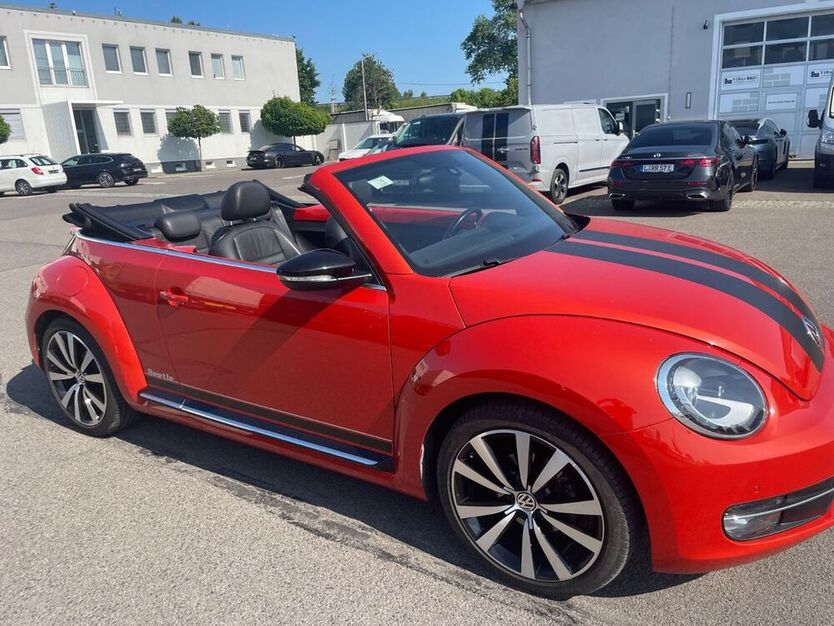 Beetle
