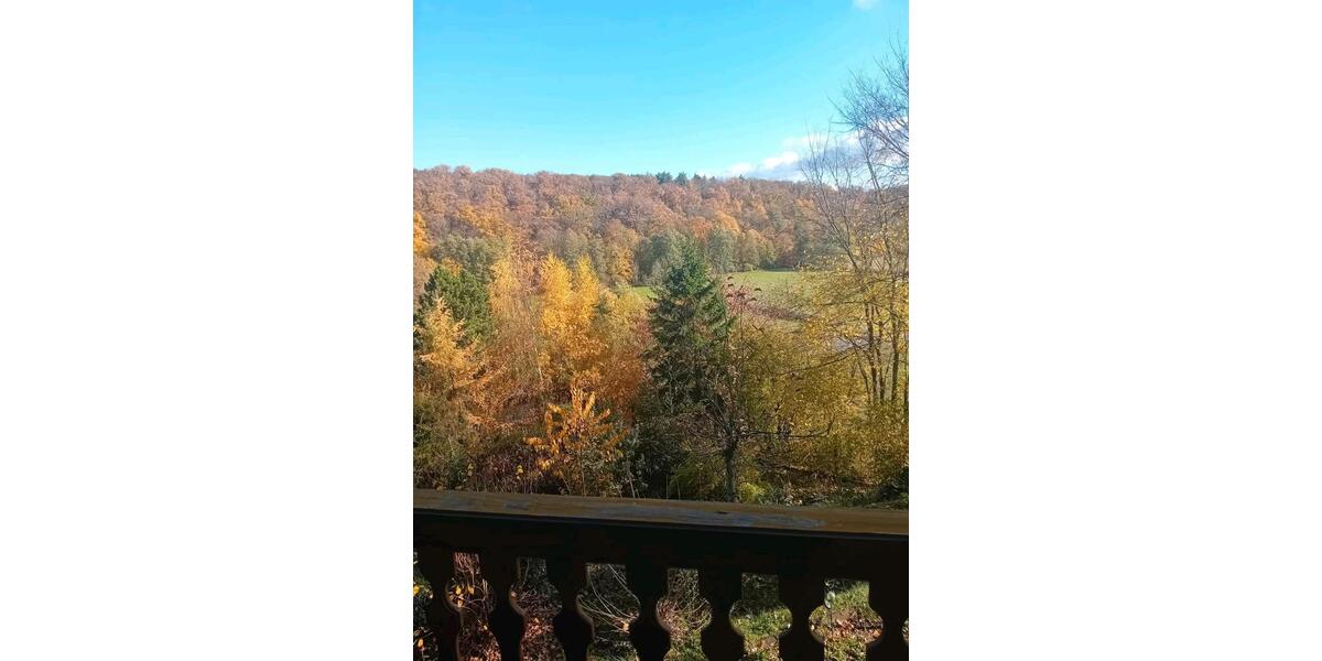 Einfamilienhaus Leipzig Nordost - 3 Zimmer, 80 m&sup2;, 50.000&euro; | Angebot:25357318