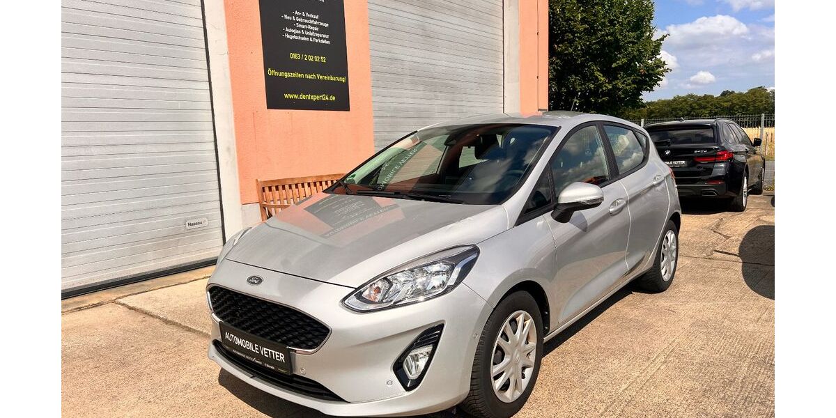 Ford Fiesta 135.000 km 6.490 &euro; Polenz 04821