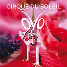 VIP Package BACKSTAGE CLUB - Cirque du Soleil - OVO 07.05.2027 QUARTERBACK Immobilien ARENA