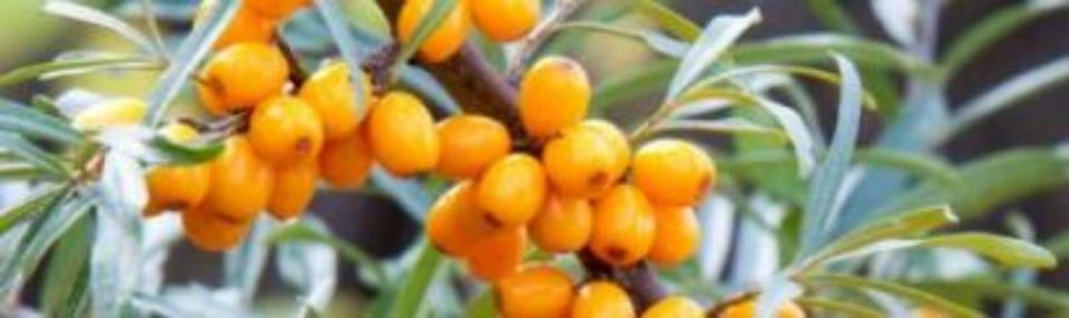 Erdgeschoßwohnung Leipzig Altwest - 1 Zimmer, 137.000&euro; | Angebot:21553287