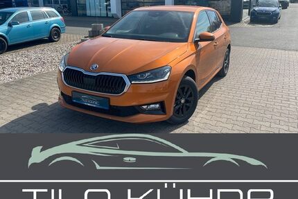 Skoda Fabia 4.953 km 19.990 € Bad Düben 04849