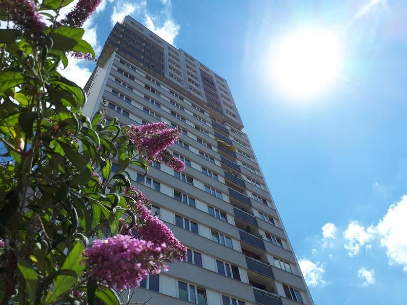 Über den Dächern von Halle-Frisch renovierte Familienwohnung zimmer