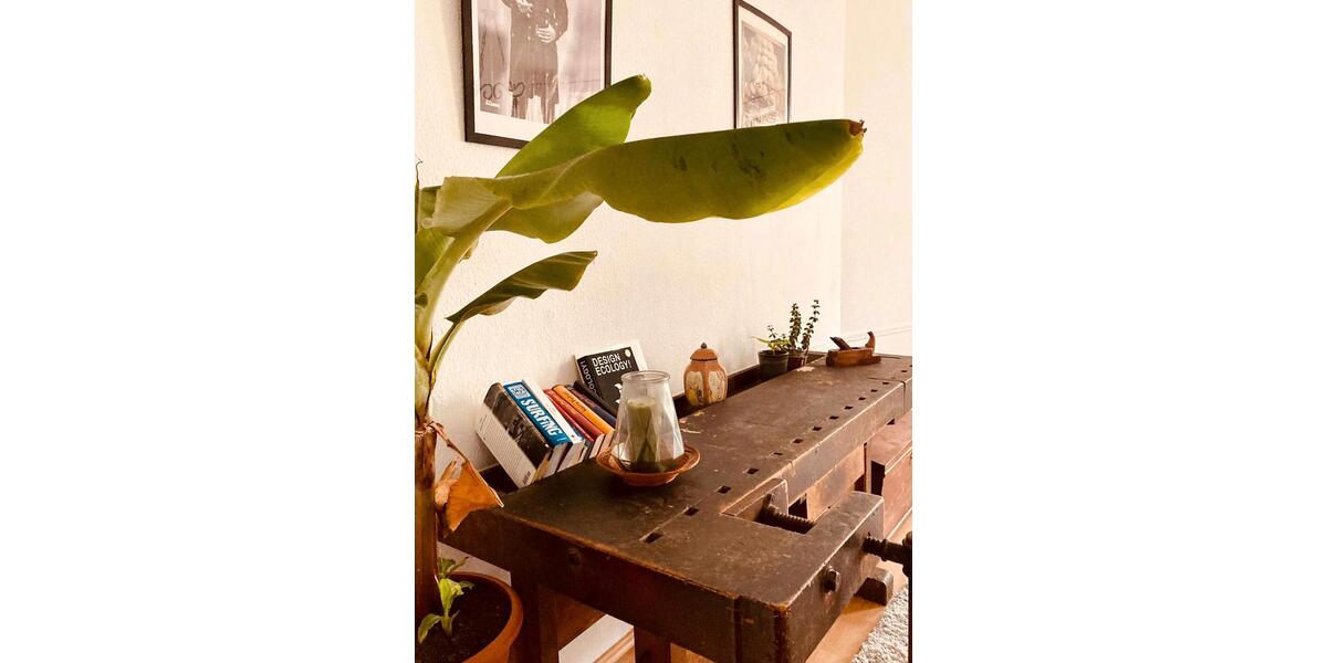 Erdgeschoßwohnung Leipzig Süd - 1 Zimmer, 30 m&sup2;, 400&euro; | Angebot:25081615