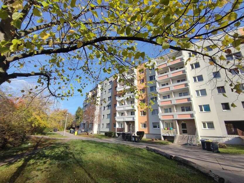Wohnung zum Mieten in Halle (Saale) 340 € 56.98 m²