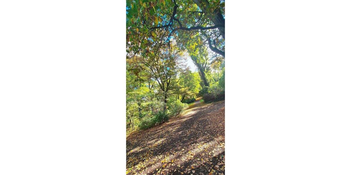 ++BACHVIERTEL++04109 Leipzig++ 2 zimmer