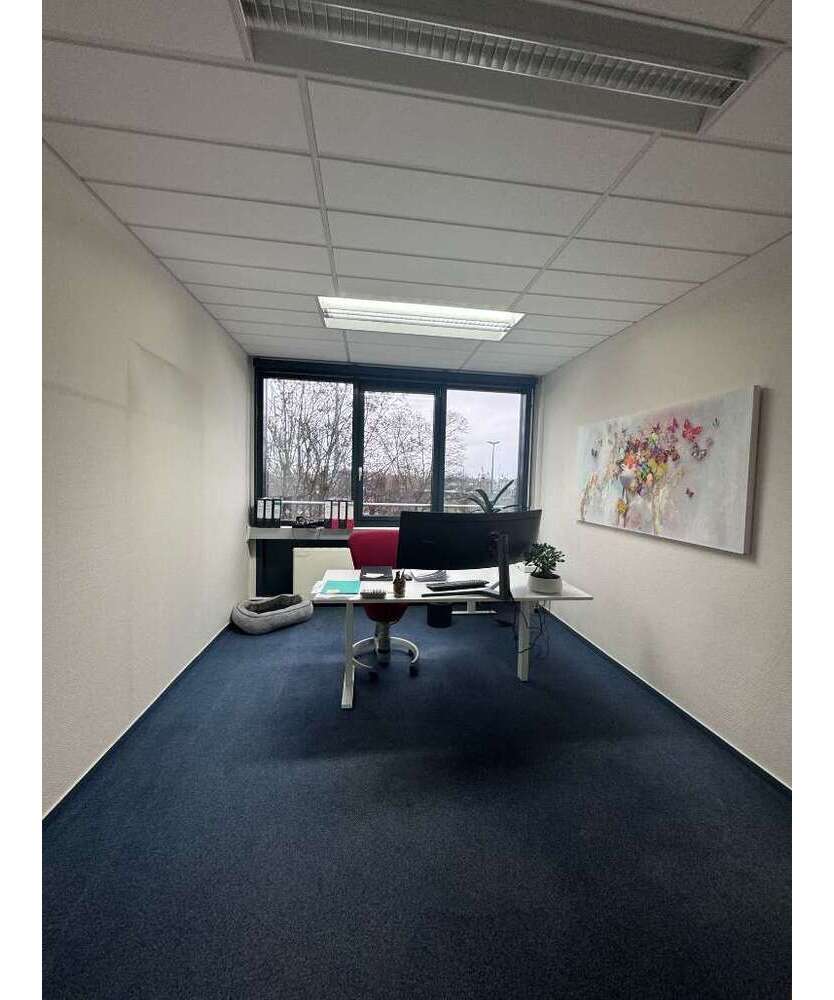 Büro in Halle (Saale) 3.400 € 400 m²