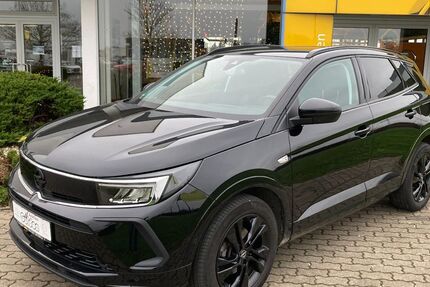 Opel Grandland (X) 63.950 km 21.099 &euro; Delitzsch OT Döbernitz 04509