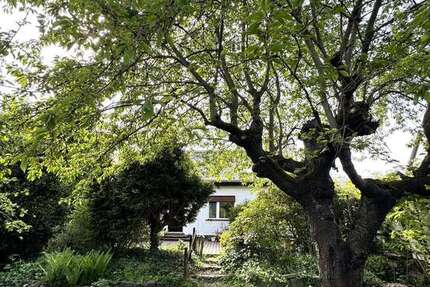 Grundstück Markkleeberg - 649.000&euro; | Angebot:26551015