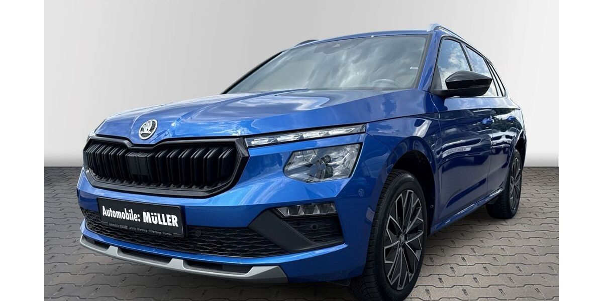 Skoda Kamiq 19.098 km 24.990 &euro; Wurzen 04808