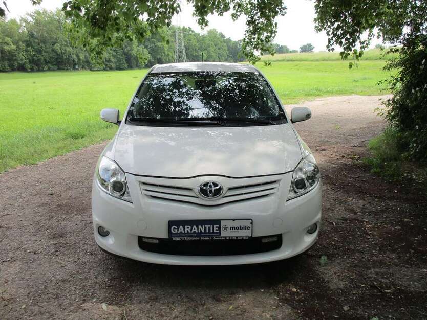 Auris