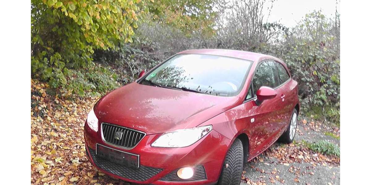 Seat Ibiza 134.600 km 4.499 &euro; Leipzig / Holzhausen 04288