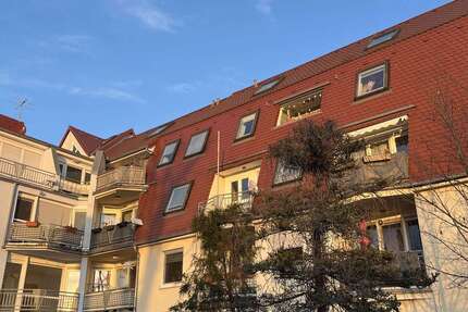 Wohnung zum Mieten in Delitzsch 350 € 32.17 m² 1 zimmer