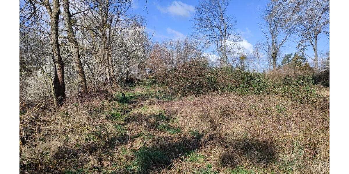 Grundstück Machern - 185.000&euro; | Angebot:25738685