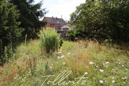Traumhaft großes Grundstück in Tollwitz bei Markranstädt zum Traumhausbau! zimmer