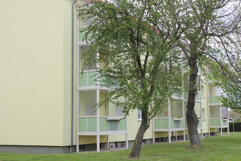 Frisch sanierte 3 Zimmerwohnung zimmer