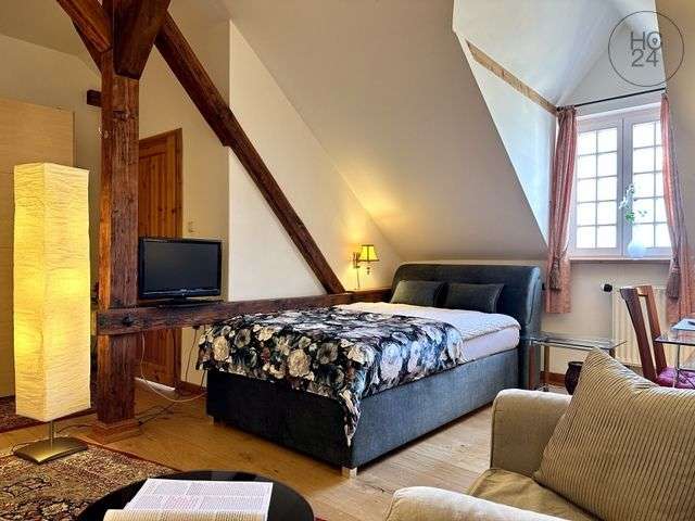 Wohnen auf Zeit in Leipzig 790 € 1 zimmer