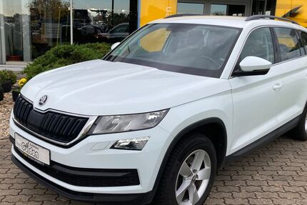 Skoda Kodiaq 123.600 km 16.490 € Delitzsch OT Döbernitz 04509
