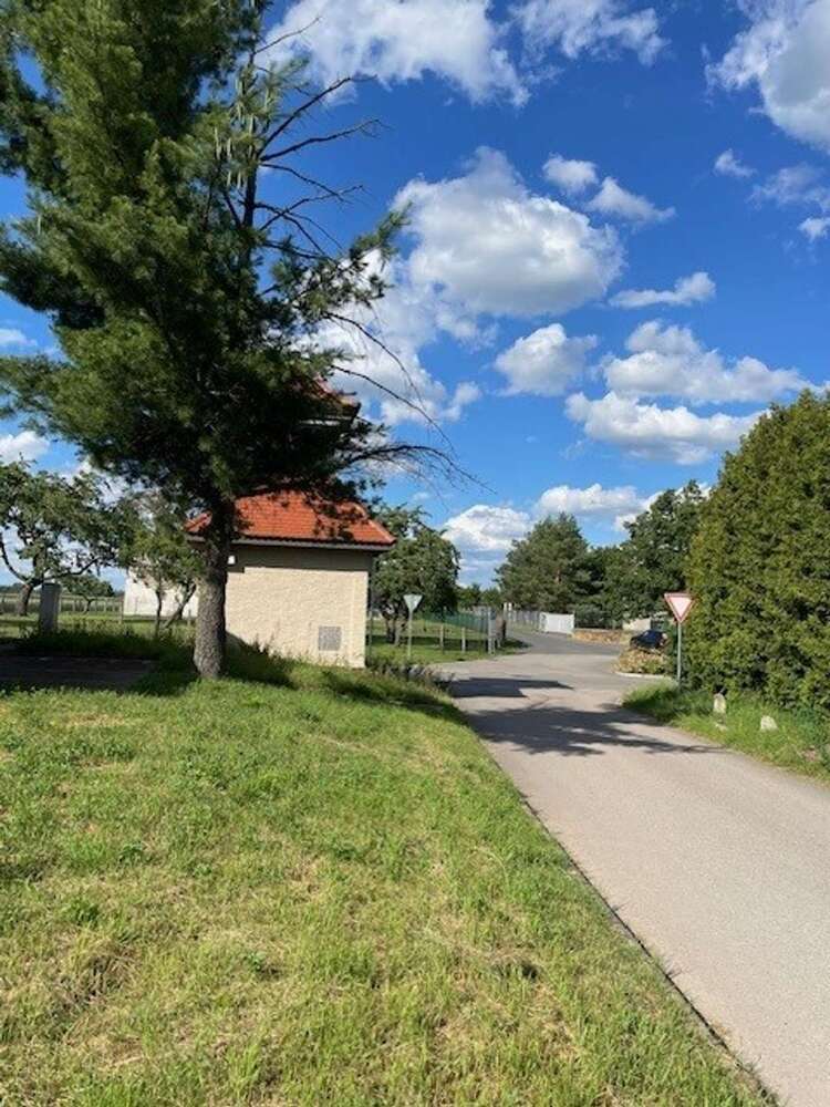 Haus zum Kaufen in Grimma 295.000 € 223 m²