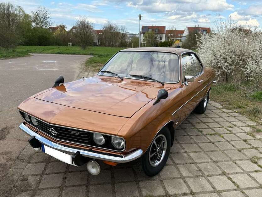 Manta