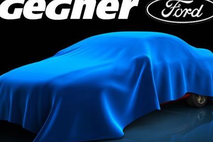 Ford Tourneo Custom 24.165 km 40.740 &euro; Eilenburg 04838