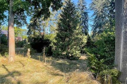 Großes Baugrundstück in Waldsteinberg! zimmer