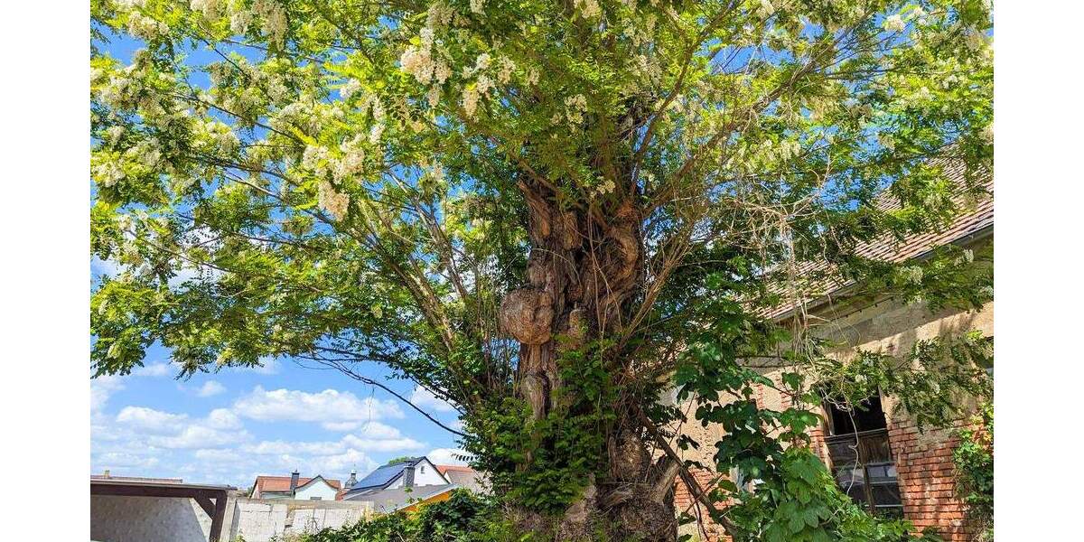 Grundstück Zwenkau - 399.000&euro; | Angebot:25673755