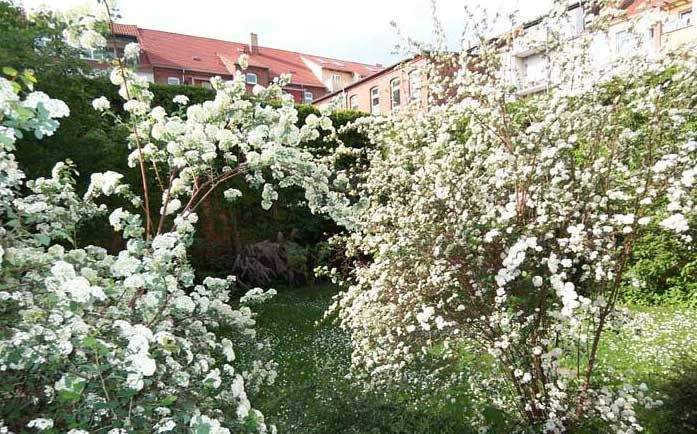 Etagenwohnung Eilenburg Eilenburg-Ost - 2 Zimmer, 57 m&sup2;, 385&euro; | Angebot:25801833