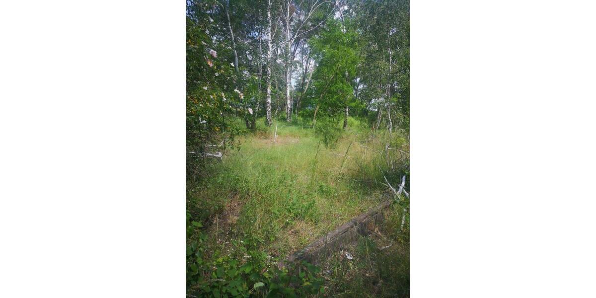 Grundstück Eilenburg - 2.999.000&euro; | Angebot:22496936