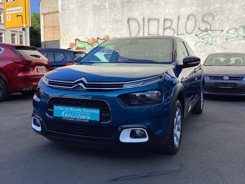 C4 Cactus