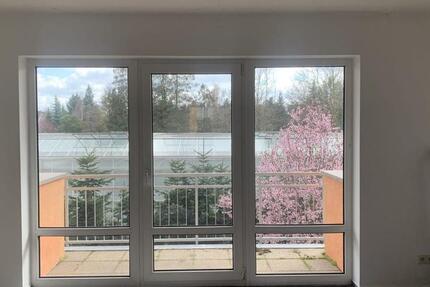 Wohnung Brandis Kleinsteinberg - 1 Zimmer, 43 m&sup2;, 350&euro; | Angebot:25971813