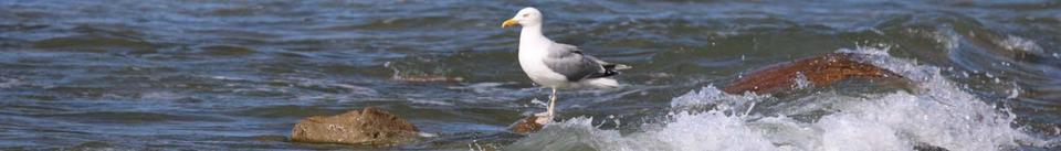 Erdgeschoßwohnung Leipzig Altwest - 1 Zimmer, 137.000&euro; | Angebot:21553287